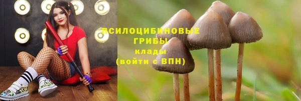 дживик Белокуриха