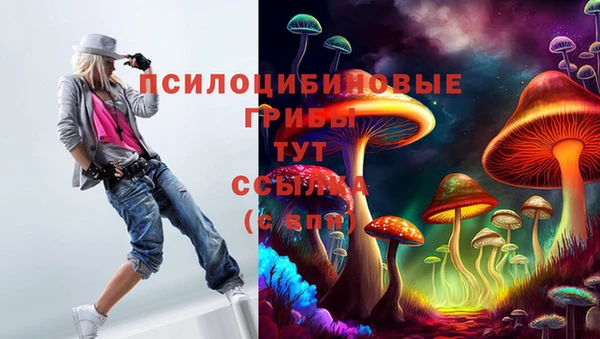твердый Белоозёрский