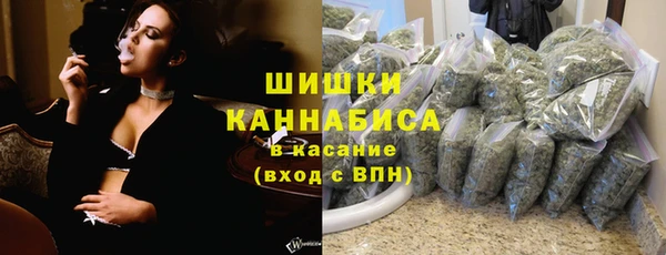 дживик Белокуриха